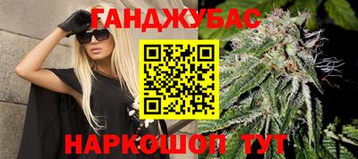 прущие грибы Абакан