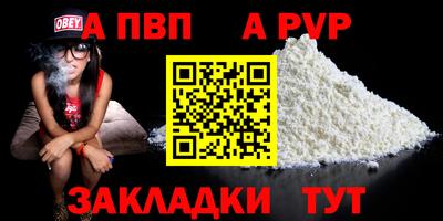 прущие грибы Абакан