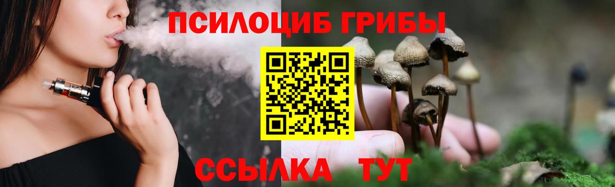 Псилоцибиновые грибы Cubensis Ессентуки