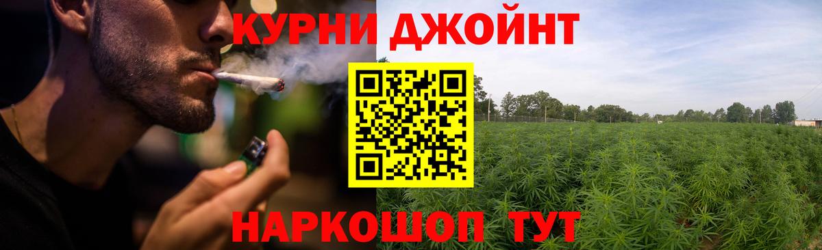Бошки Шишки конопля Ессентуки